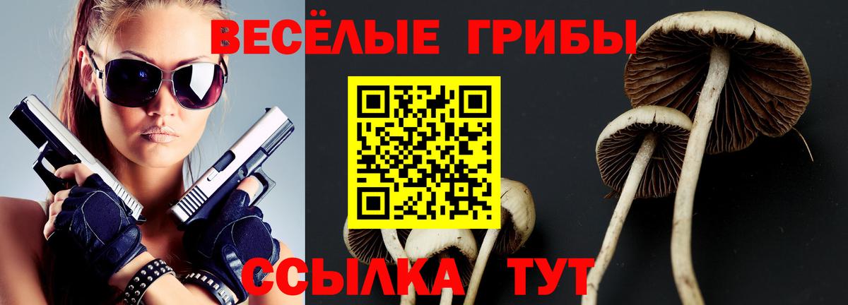 Псилоцибиновые грибы GOLDEN TEACHER  Вход с VPN  купить   Галлюциногенные грибы мицелий  Кушва 